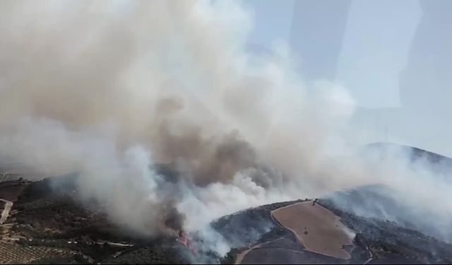 Manisa Salihli'de orman yangını... Yangına havadan ve karadan müdahale ediliyor