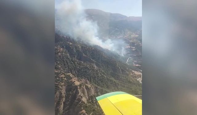 Manisa'nın Salihli ilçesinde çıkan orman yangınına müdahale ediliyor 