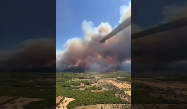 MSB, Çanakkale'deki orman yangınına müdahale için bir adet S-70 tipi helikopter görevlendirildiğini duyurdu