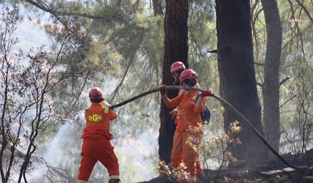 Muğla'nın Yağatan ilçesine bağlı Yava Mahallesi'nde soğutma çalışmaları devam ediyor