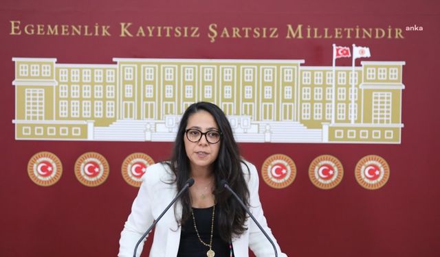 Sera Kadıgil: Cumhurbaşkanlığı makamının, Anayasa'yı fiilen askıya almış olması apaçık bir darbedir