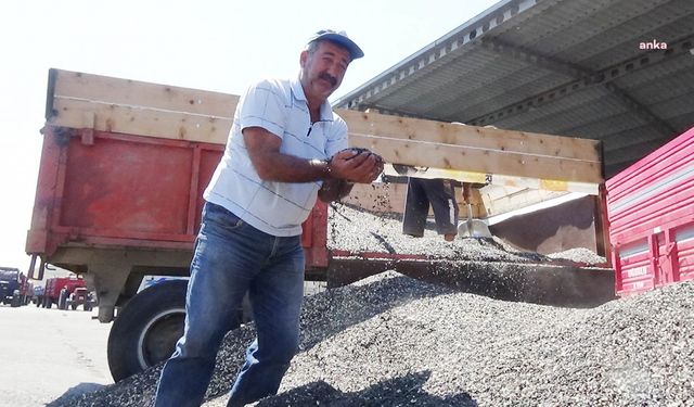 Trakya Birlik, ayçiçek alım fiyatını ton başına 20 bin TL olarak belirledi