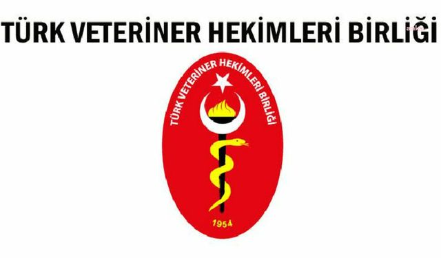 Türk Veteriner Hekimleri Birliği’nden çağrı: Sahipsiz hayvanlar popülasyon kontrolü için öldürülemez ve itlaf edilemezler