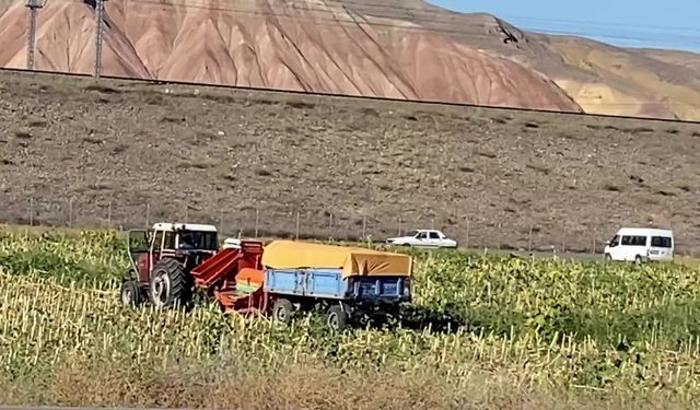 Yozgat’ta ayçiçeği hasadına başlayan çiftçi, alım fiyatının açıklanmasını bekliyor