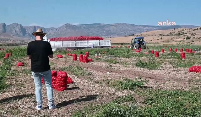 Yozgat’ta soğan üreticileri: "Sezonun sonunda ya tarlamızı ya traktörümüzü satacağız"