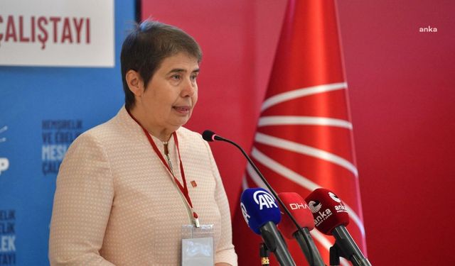 Zeliha Aksaz Şahbaz: "Şov amaçlı açılan hastaneler, hasta ve çalışan güvenliğini tehdit eder duruma gelmiştir"