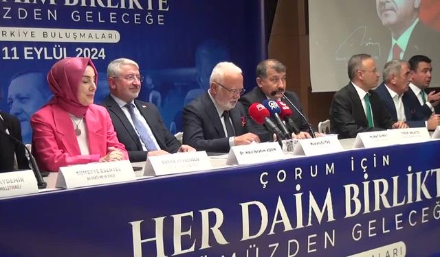 AK Parti Genel Başkan Vekili Mustafa Elitaş: "Normalleşme süreci anormalleşmeye başladı"