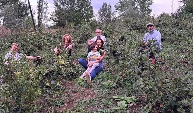 Artvin’in Ardanuç ilçesi Aşağı Irmaklar köyünde aronya meyvesi yetiştirilmeye başlandı