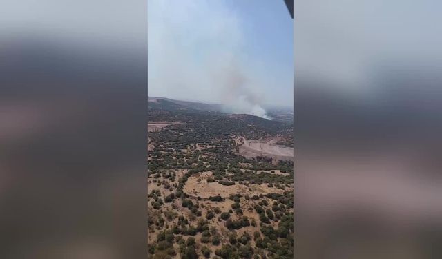 İzmir'in Menemen ilçesinde orman yangını çıktı