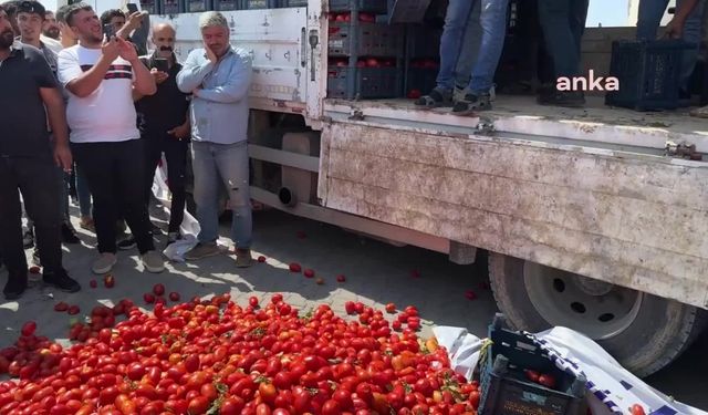 Konya’da, çiftçiler ellerinde kalan domatesleri yola dökerek hükümeti protesto etti