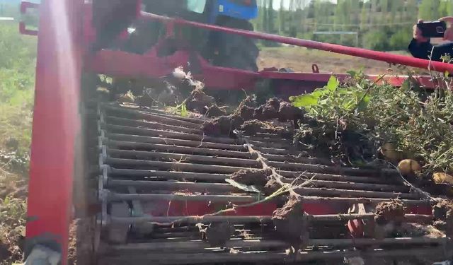 Yozgat’ta patates üreticisi ihracat kapılarının açılmasını istiyor