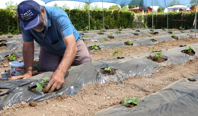 Konya’da başvurular 15 Ocak'ta başlıyor