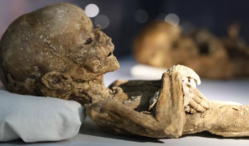 12. Yüzyılın Mumyaları Sergileniyor!