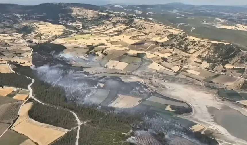 Bursa Yenişehir’deki orman yangını kontrol altındd