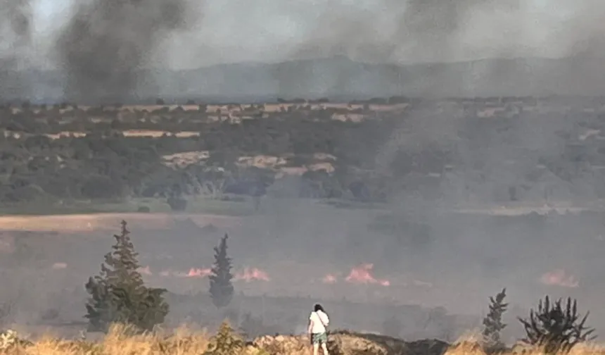 Enez'de orman yangını paniği... Gülçavuş sahili boşaltılıyor
